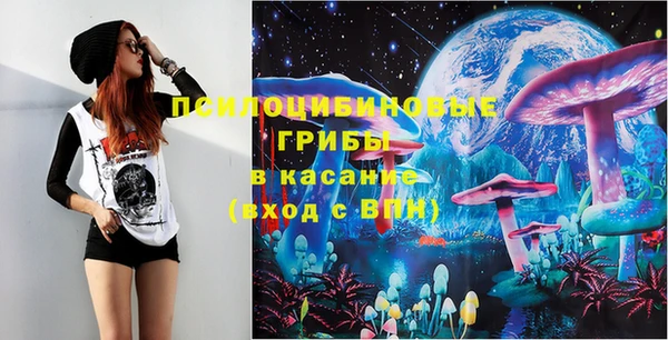 дживик Белоозёрский