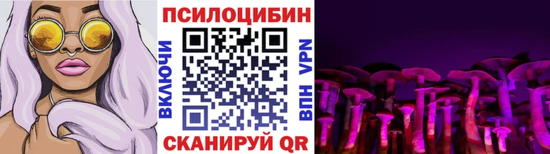 наркотики Катайск blacksprut tor Галлюциногенные грибы Psilocybine cubensis